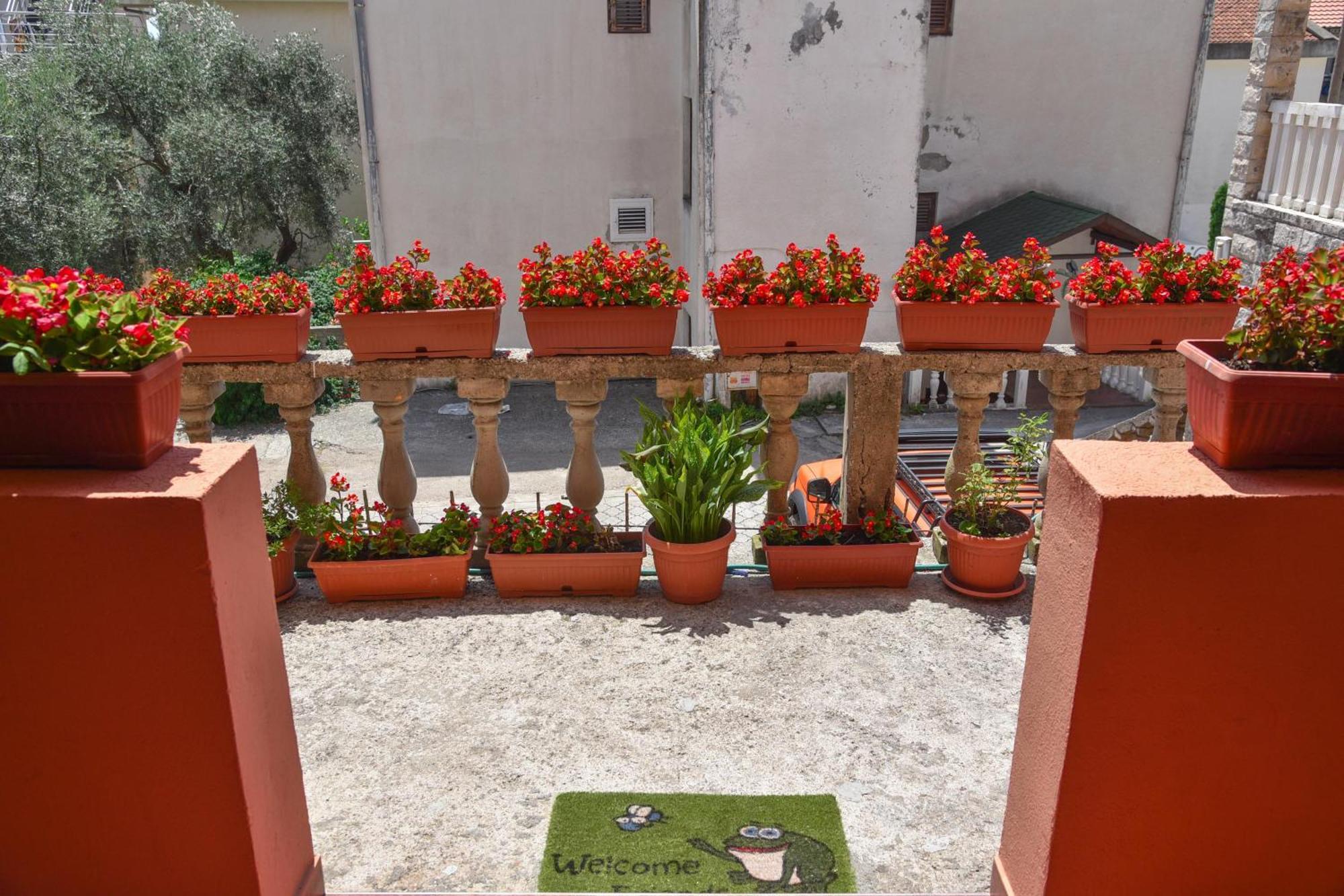 Vila Apartments Lidija Petrovac Εξωτερικό φωτογραφία