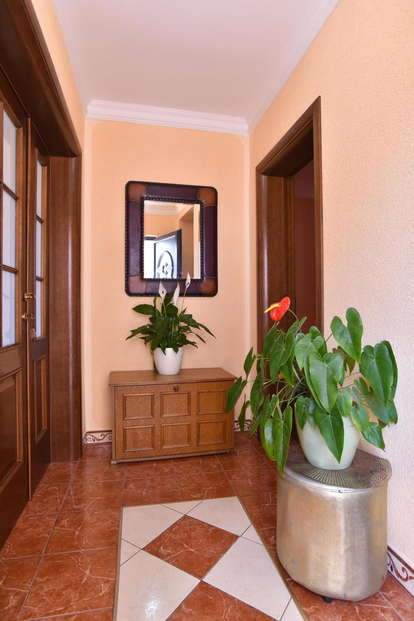 Vila Apartments Lidija Petrovac Εξωτερικό φωτογραφία