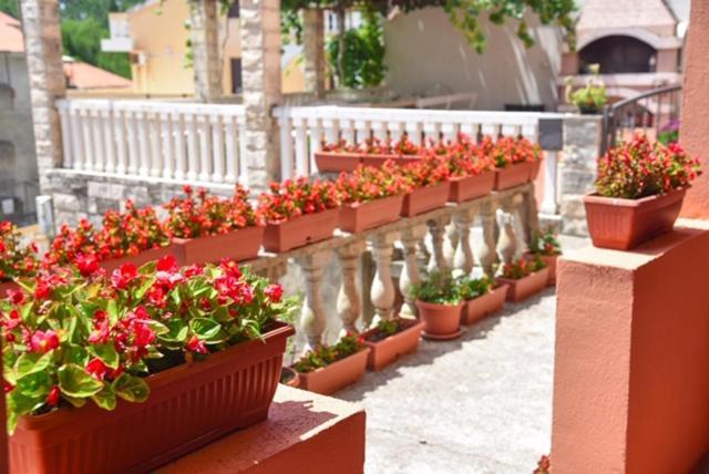 Vila Apartments Lidija Petrovac Εξωτερικό φωτογραφία